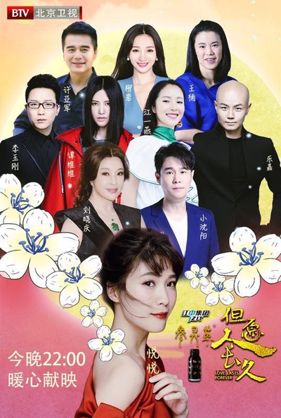 但愿人长久的海报-正式海报
