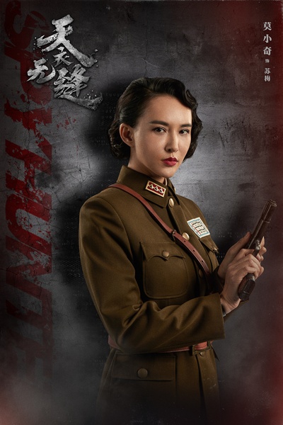 天衣无缝的海报-角色海报 中国大陆