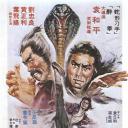 真假功夫