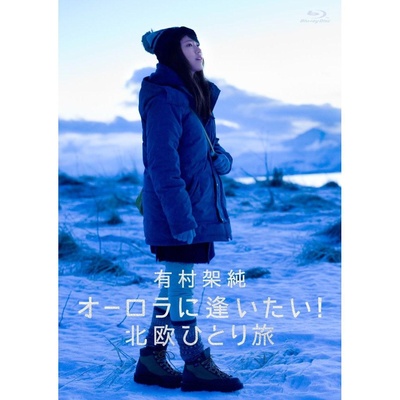 有村架纯 想看到极光! 北欧一人之旅的海报-正式海报