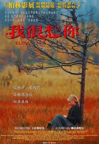 艾琳娜的海报-正式海报 中国大陆