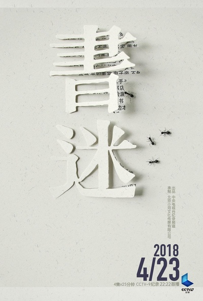 书迷的海报-正式海报