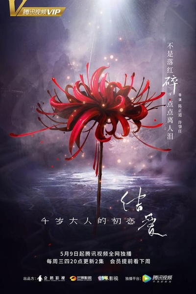 结爱·千岁大人的初恋的海报-正式海报 中国大陆