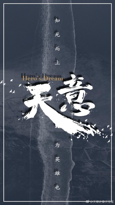 天意的海报-正式海报