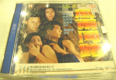 风雨同路的海报-正式海报