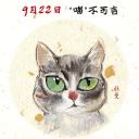 爱猫之城