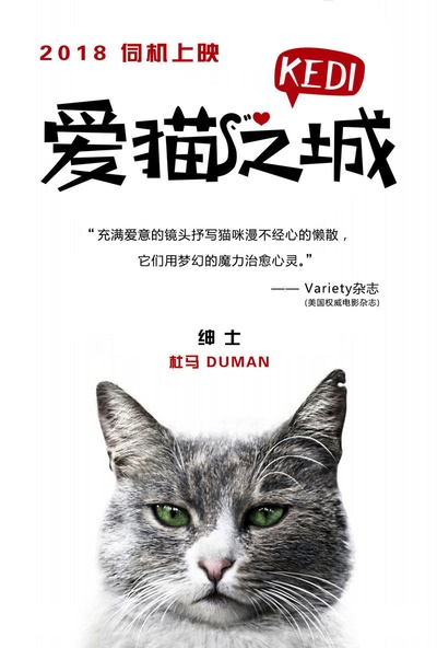 爱猫之城的海报-角色海报 中国大陆