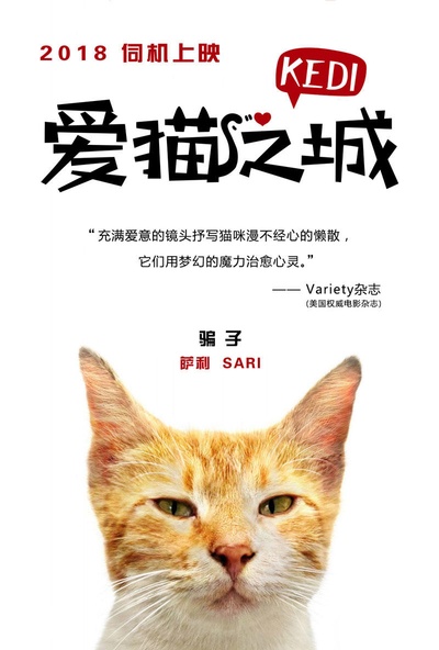 爱猫之城的海报-角色海报 中国大陆