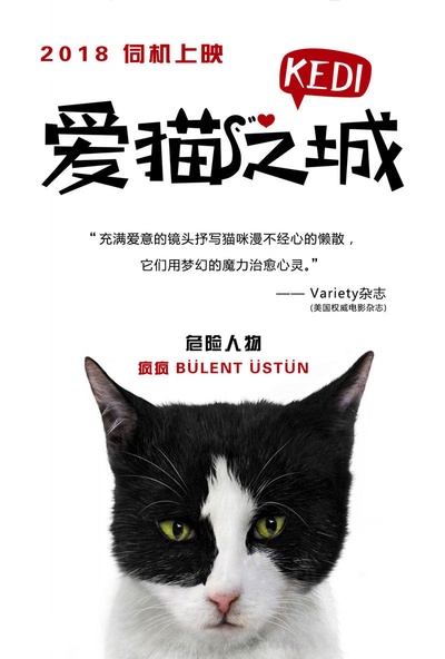 爱猫之城的海报-角色海报 中国大陆
