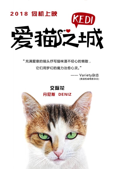 爱猫之城的海报-角色海报 中国大陆