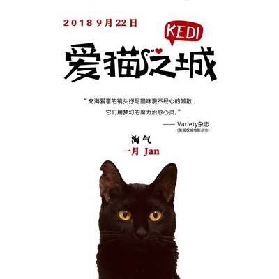 爱猫之城的海报-其他海报 中国大陆