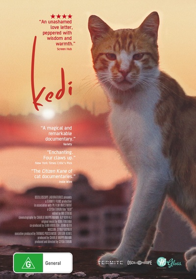 爱猫之城的海报-其他海报