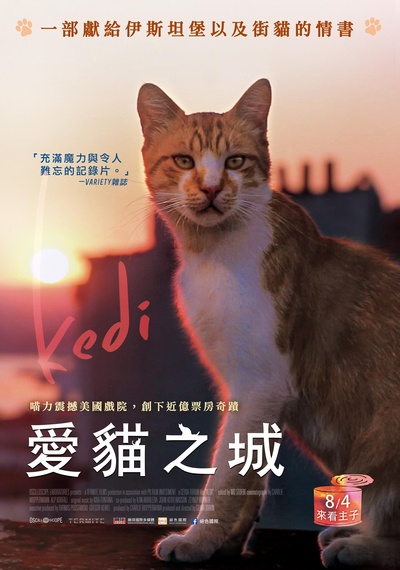 爱猫之城的海报-正式海报 台湾