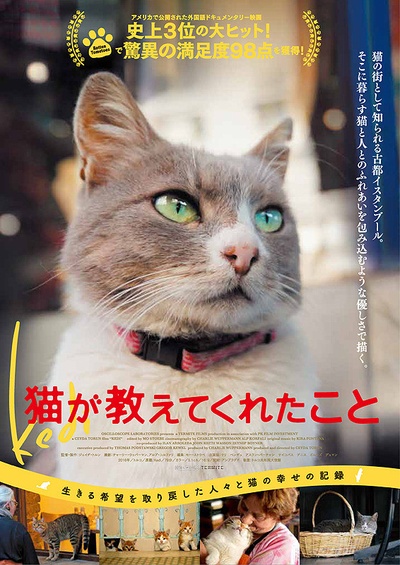爱猫之城的海报-正式海报 日本