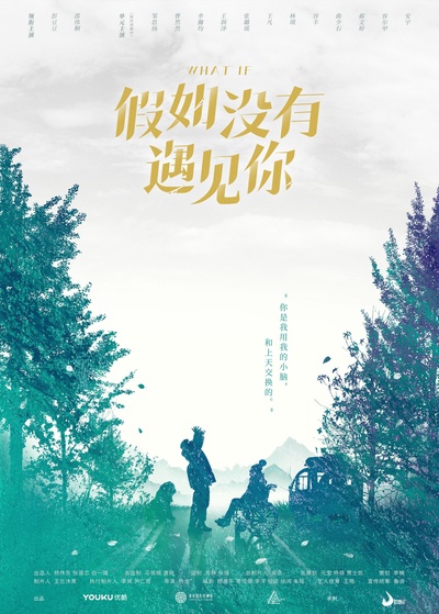 假如没有遇见你的海报-正式海报