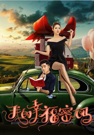 我的幸福密码的海报-正式海报