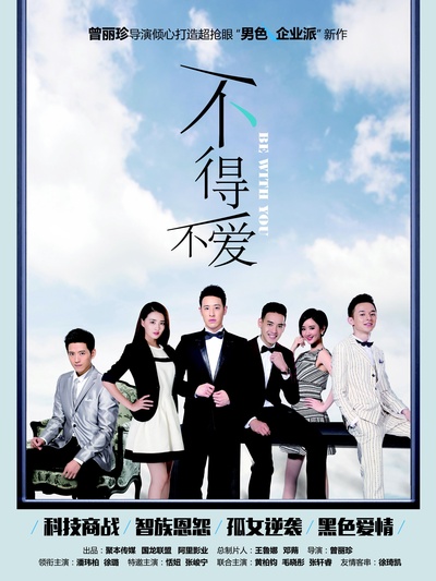 不得不爱的海报-正式海报