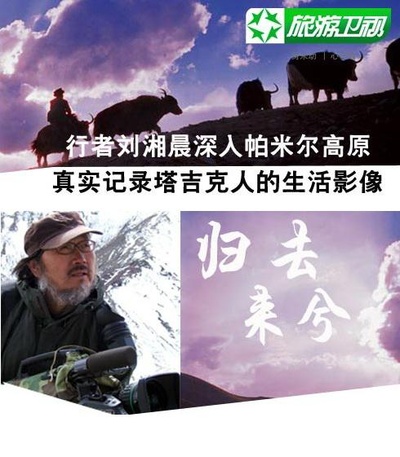 归去来兮的海报-正式海报
