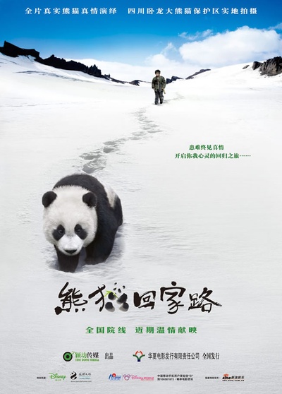 熊猫回家路的海报-正式海报 中国大陆