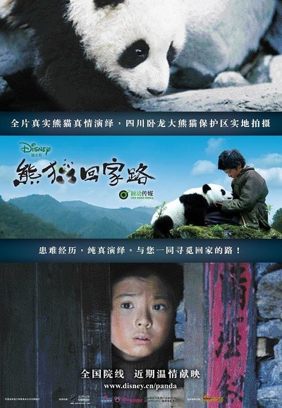 熊猫回家路的海报-正式海报