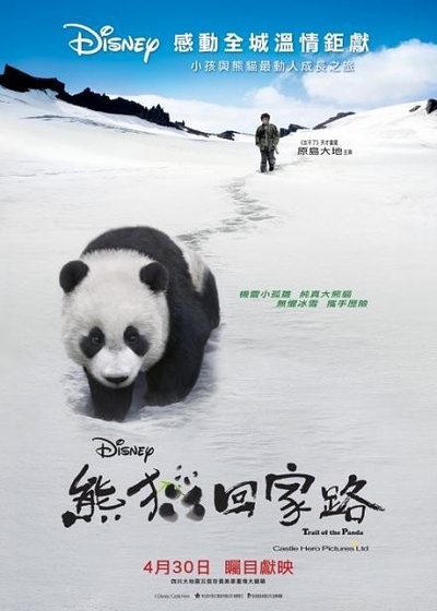 熊猫回家路的海报-正式海报
