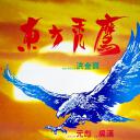 东方秃鹰