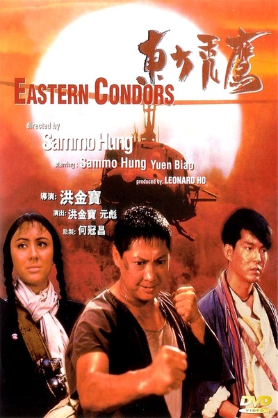 东方秃鹰的海报-其他海报