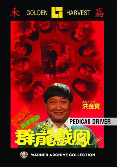 群龙戏凤的海报-正式海报