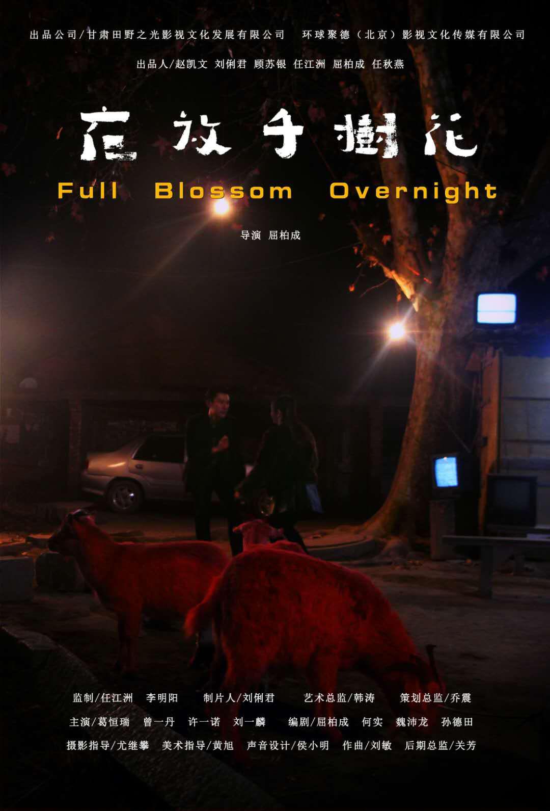 夜放千树花的海报-正式海报