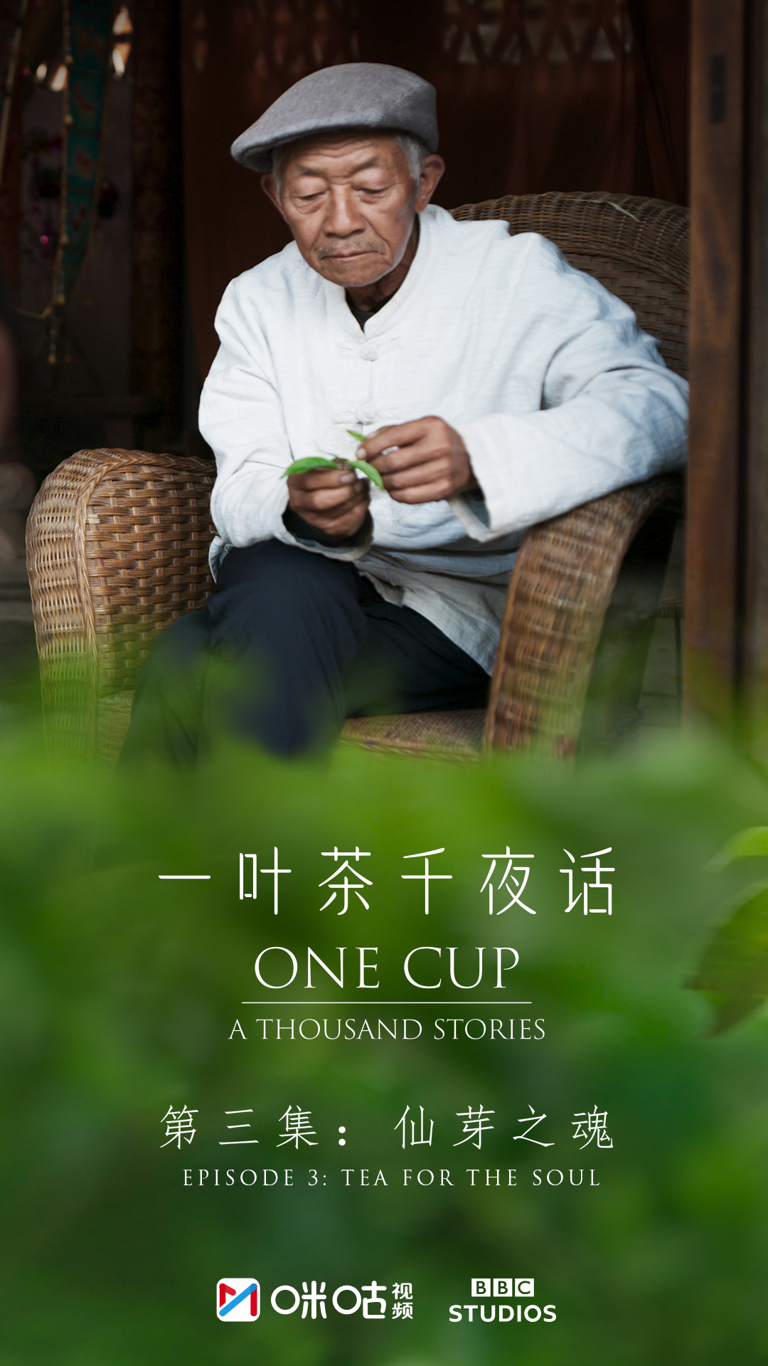 一叶茶，千夜话的海报-角色海报 中国大陆