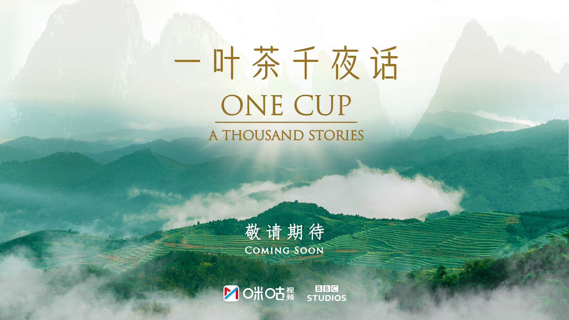 一叶茶，千夜话的海报-预告海报