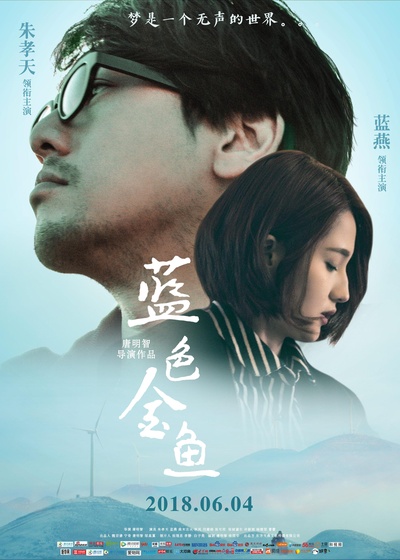 蓝色金鱼的海报-正式海报