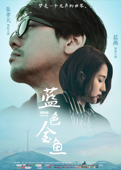 蓝色金鱼的海报-正式海报