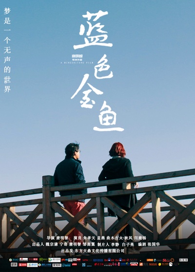 蓝色金鱼的海报-预告海报 中国大陆