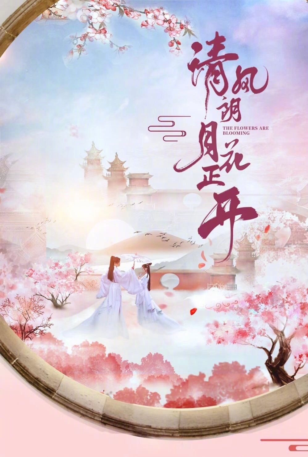 清风朗月花正开的海报-预告海报