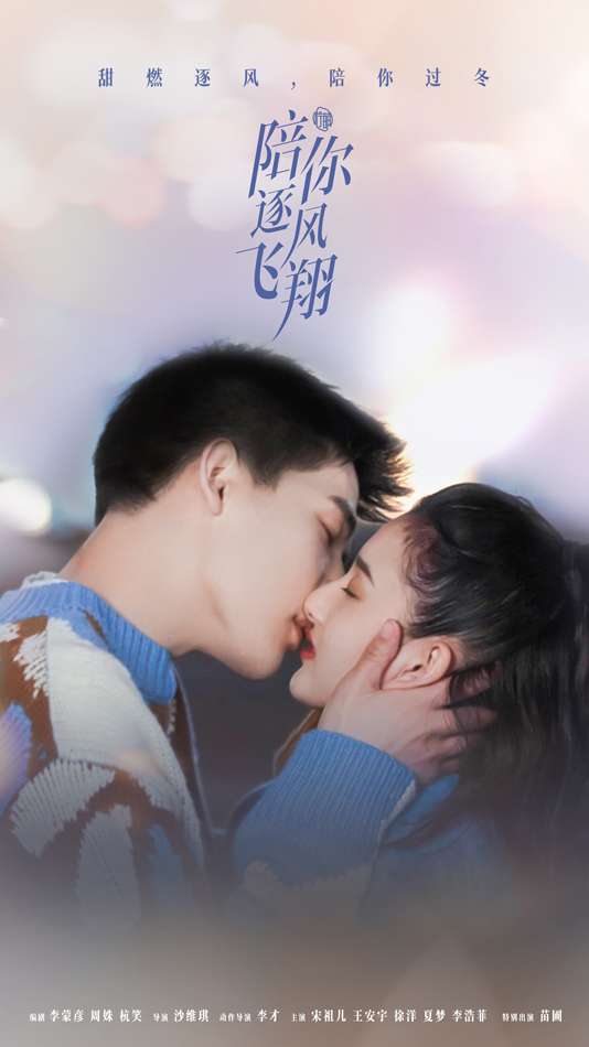 陪你逐风飞翔的海报-正式海报 中国大陆