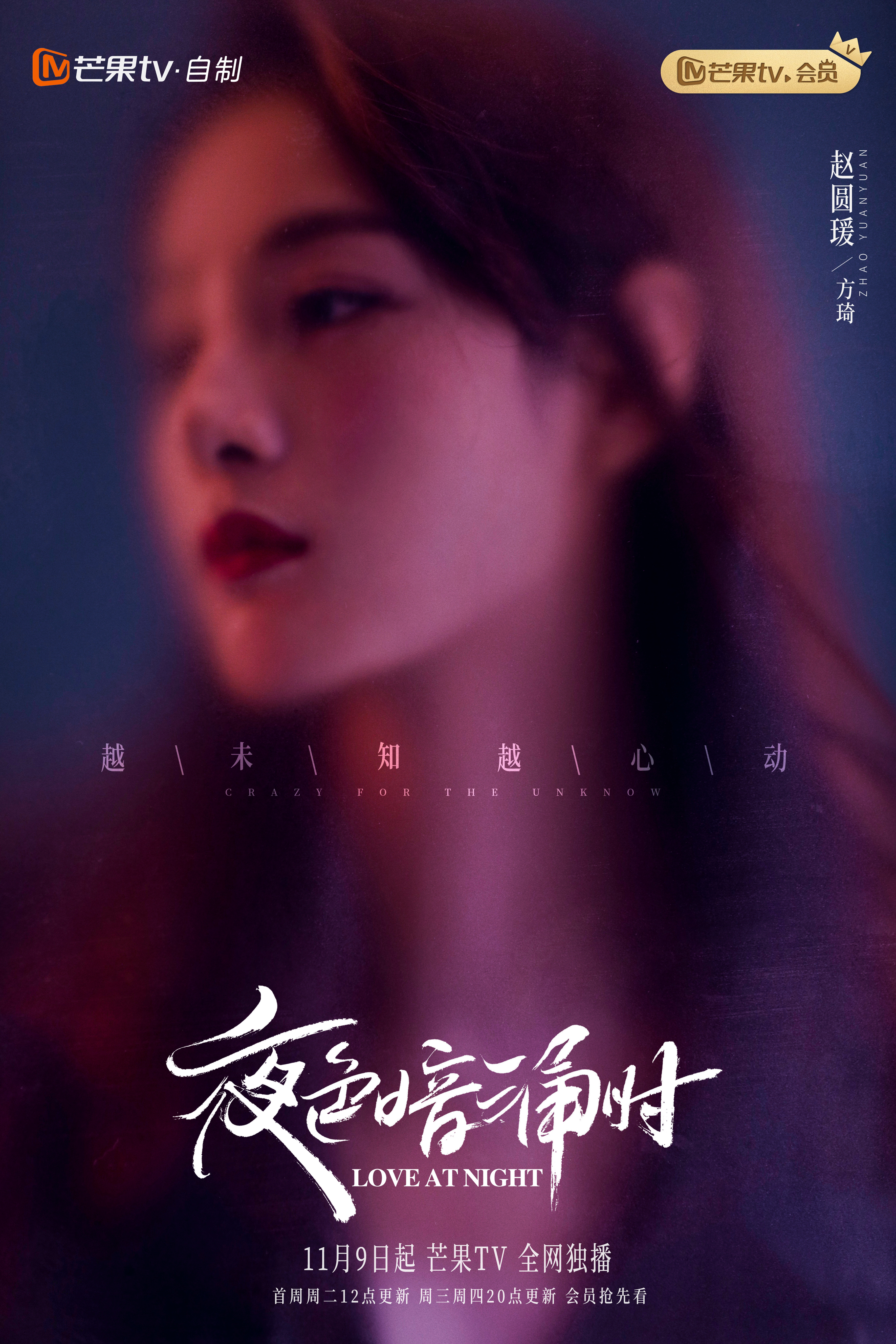 夜色暗涌时的海报-角色海报 中国大陆