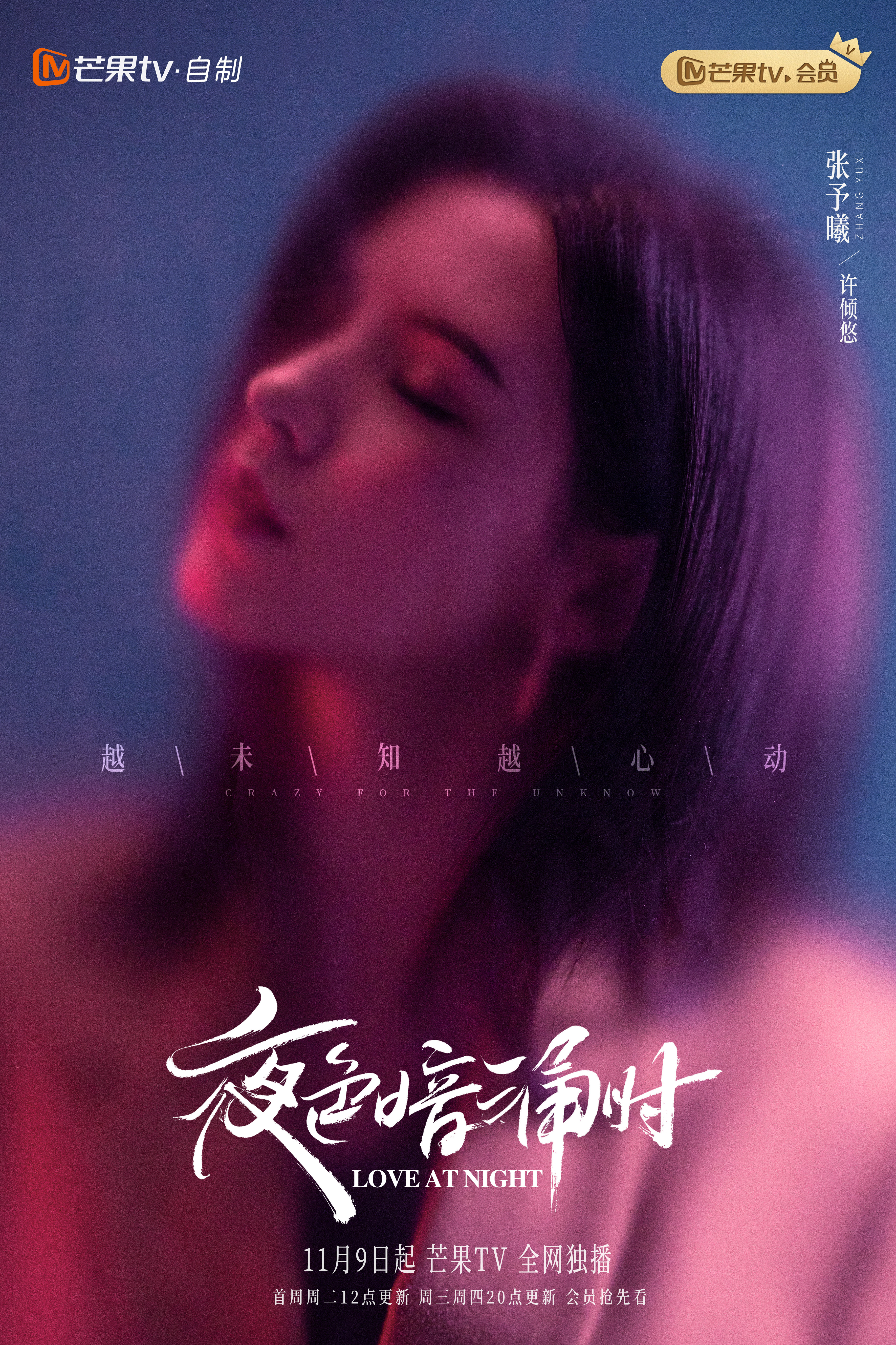 夜色暗涌时的海报-正式海报 中国大陆