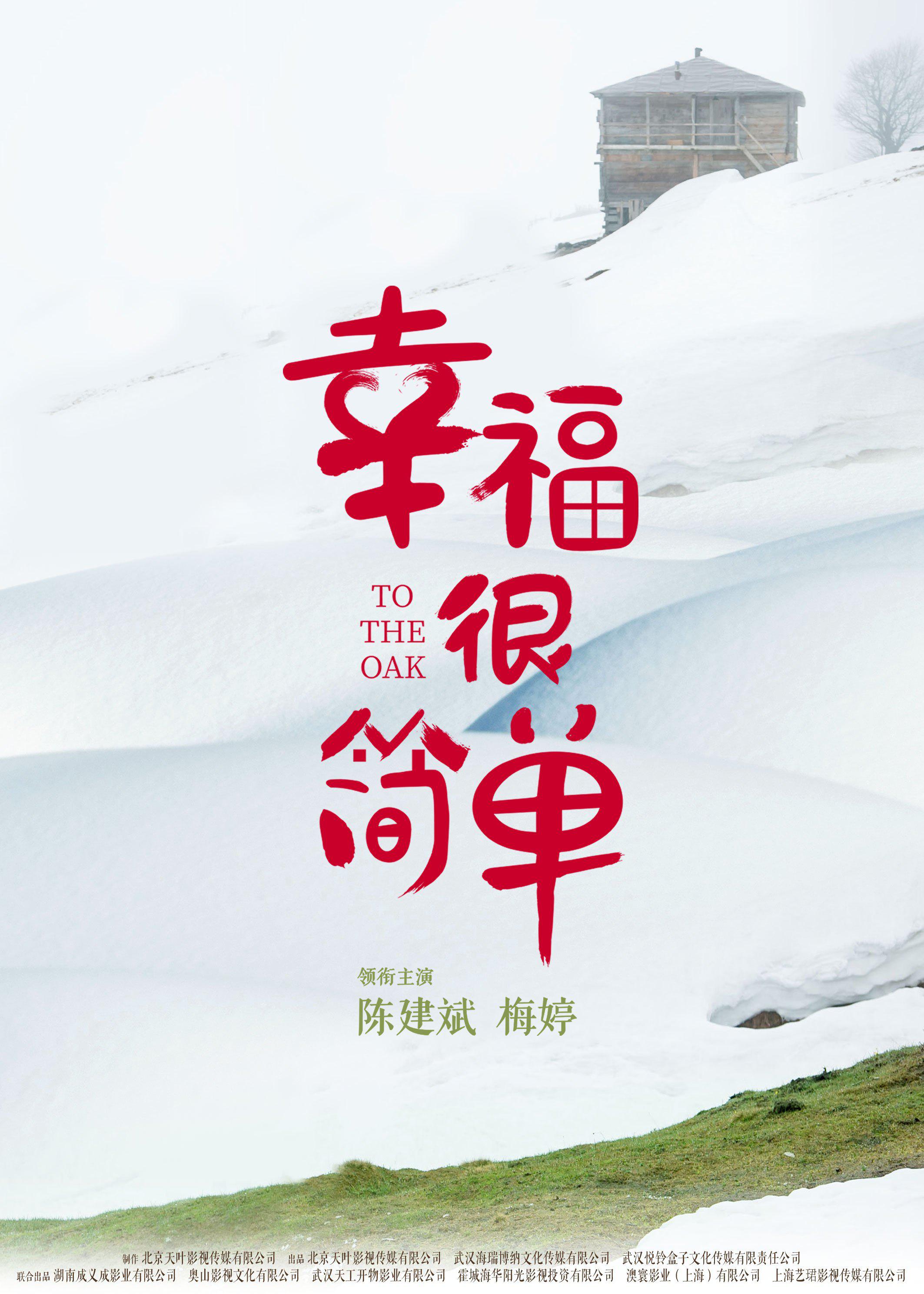 不惑之旅的海报-正式海报
