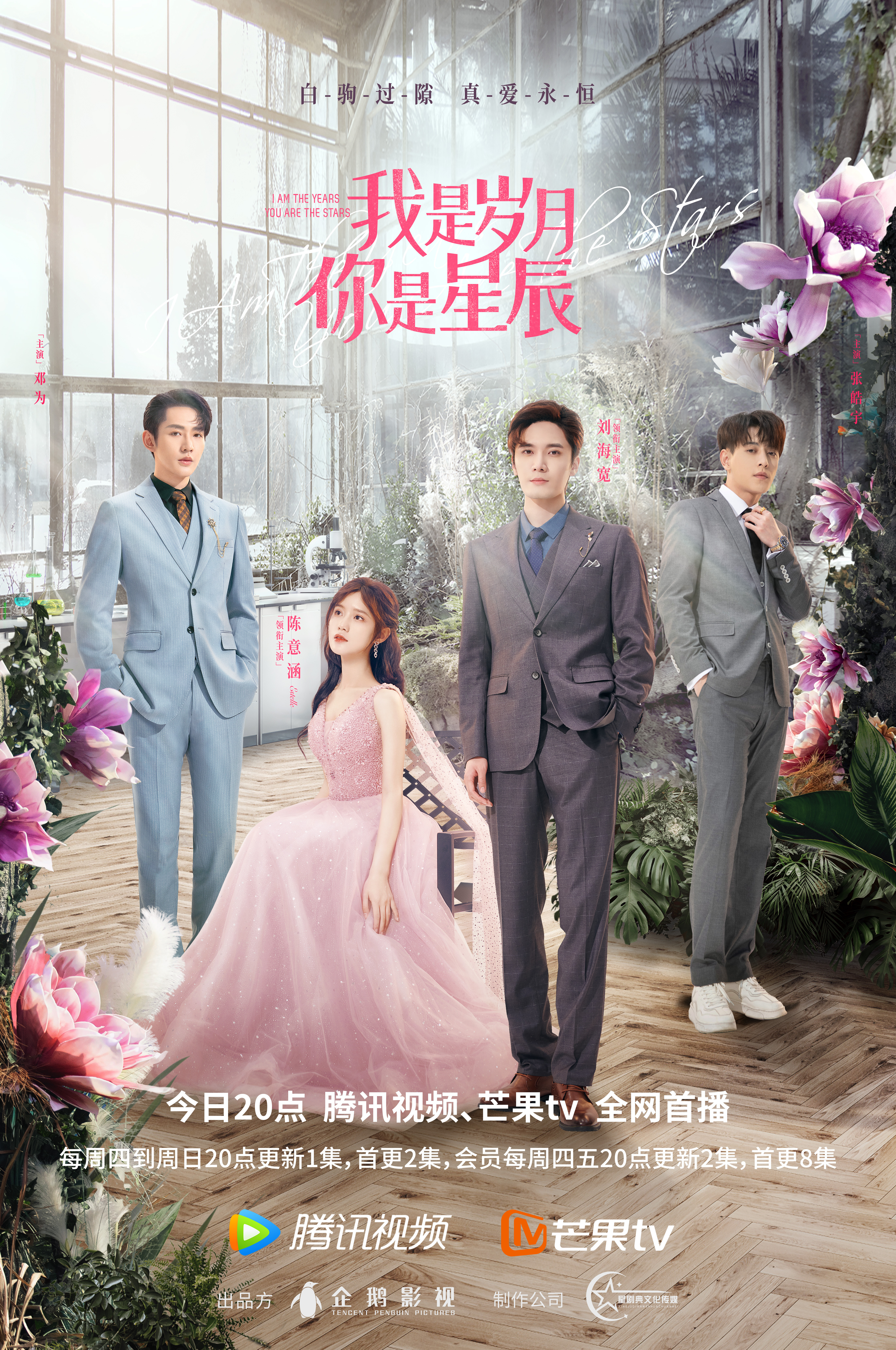 我是岁月你是星辰的海报-正式海报