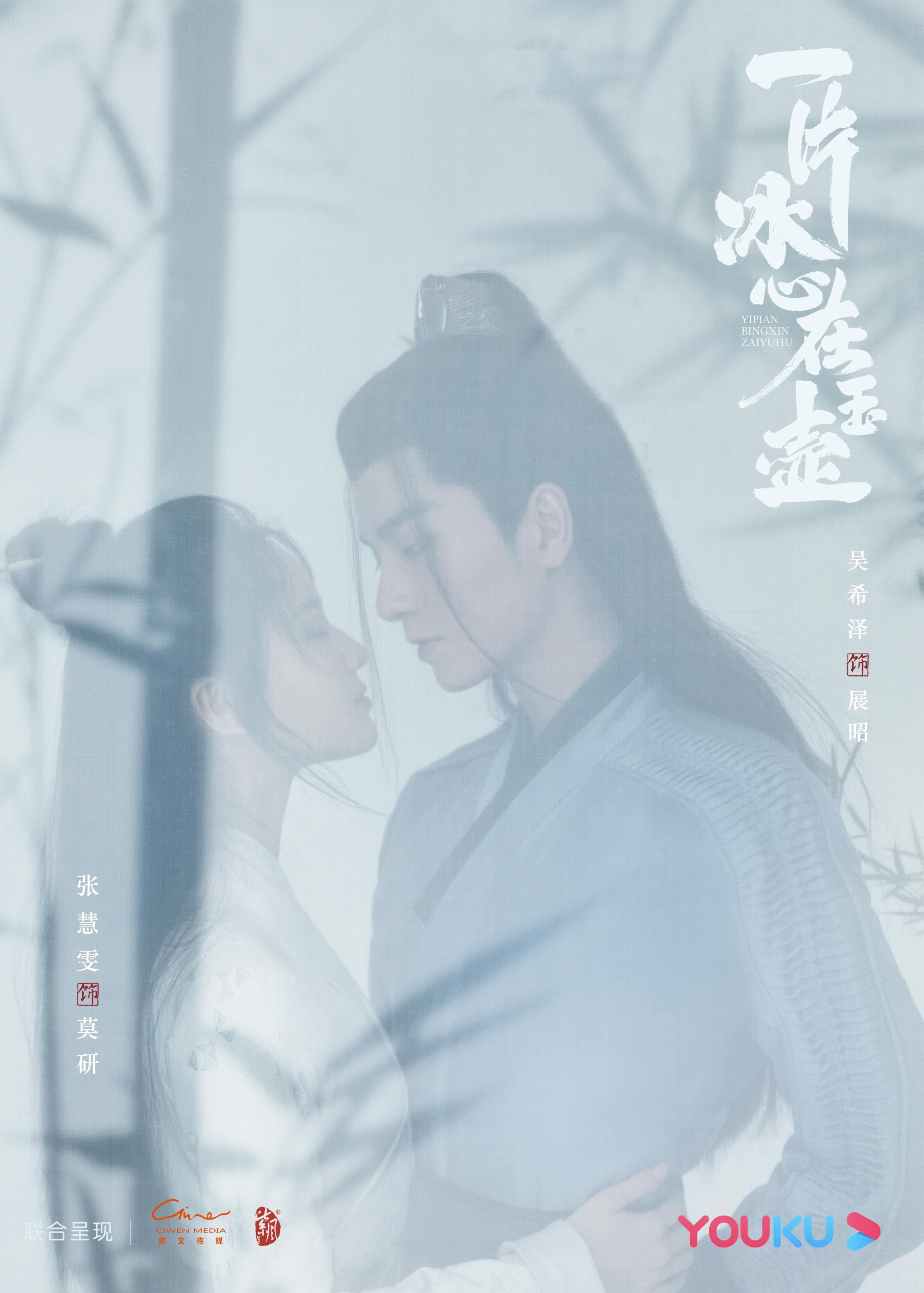 一片冰心在玉壶的海报-正式海报
