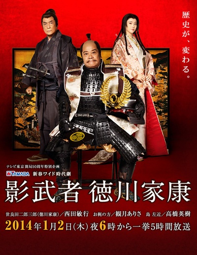 影武者德川家康的海报-预告海报
