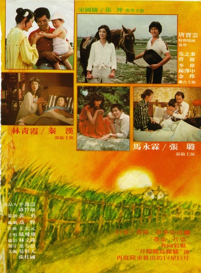 一颗红豆的海报-正式海报