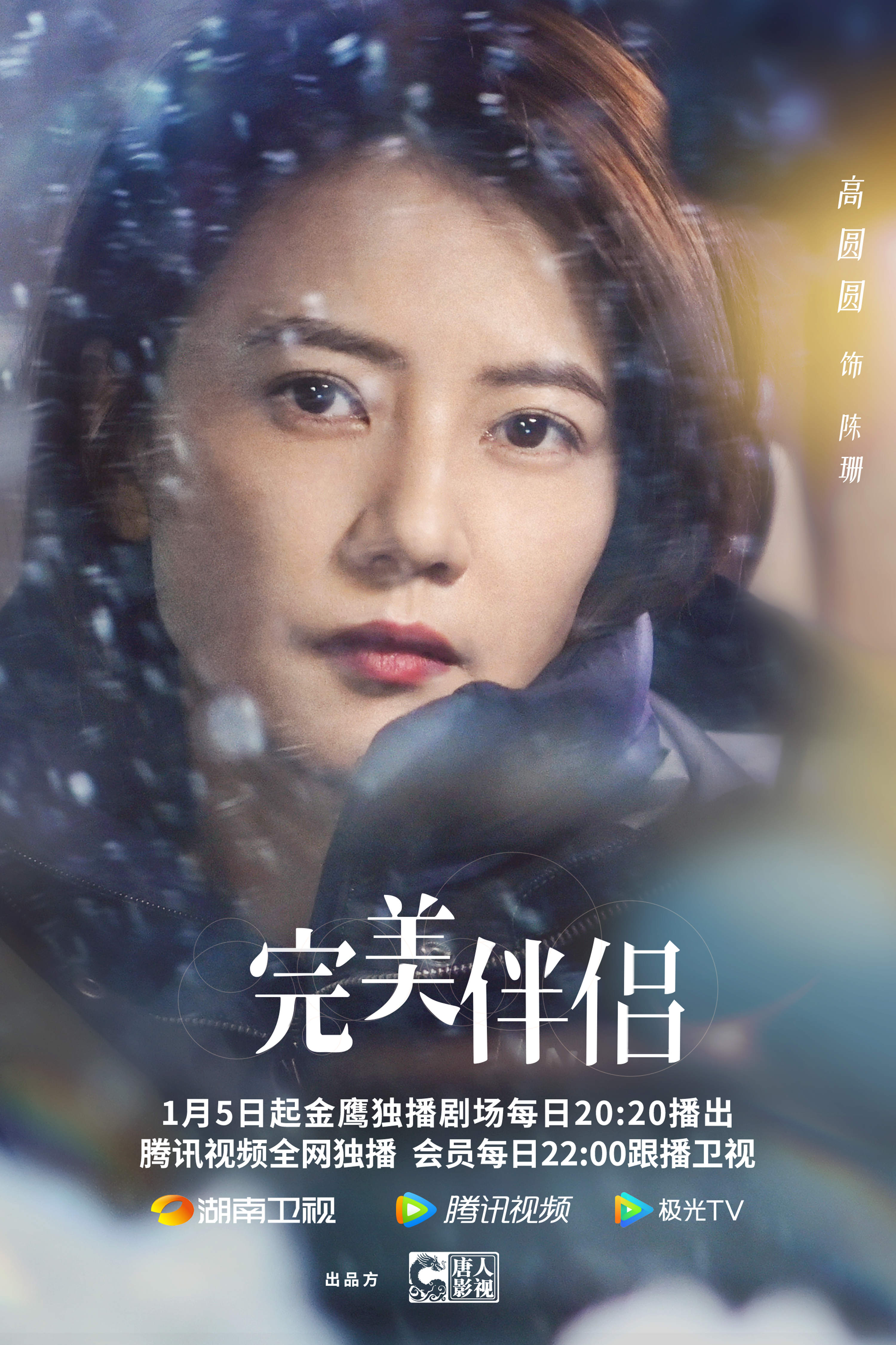 完美伴侣的海报-角色海报 中国大陆