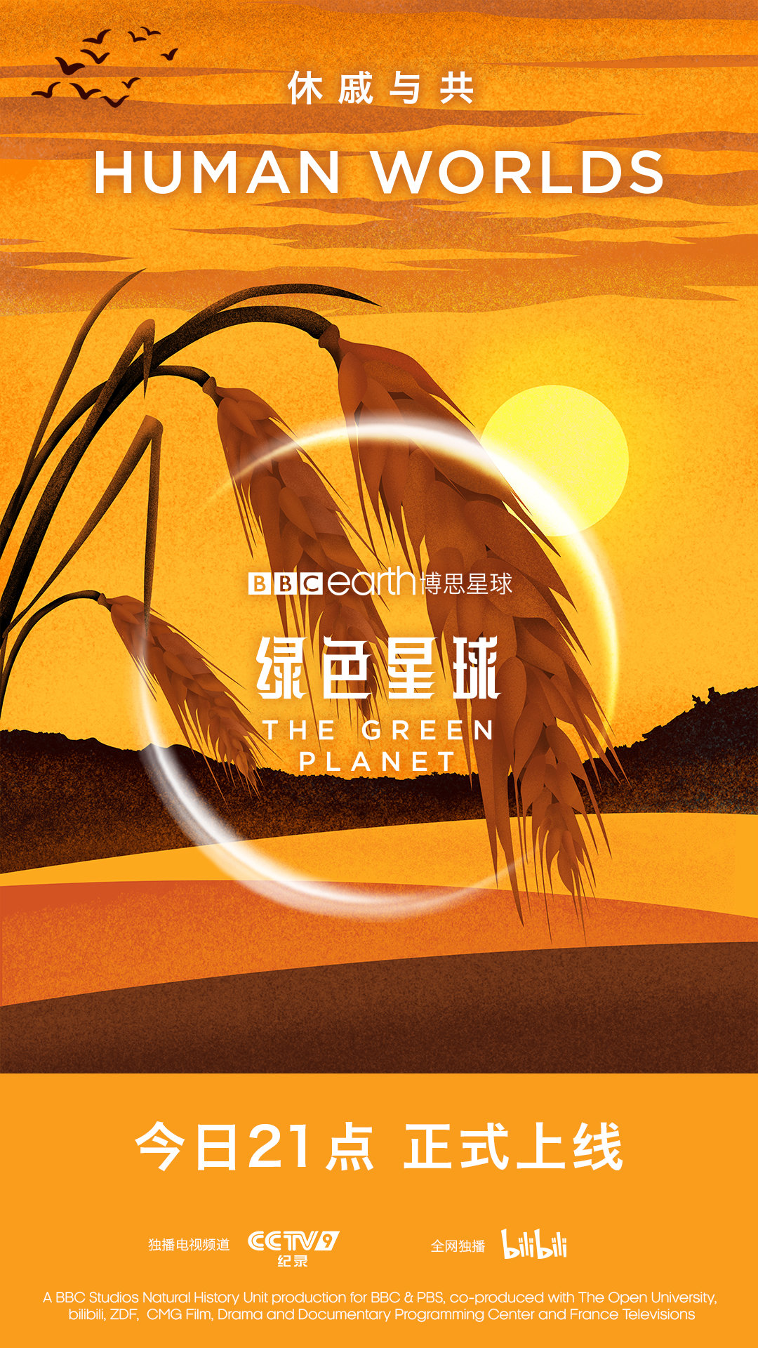 绿色星球的海报-正式海报