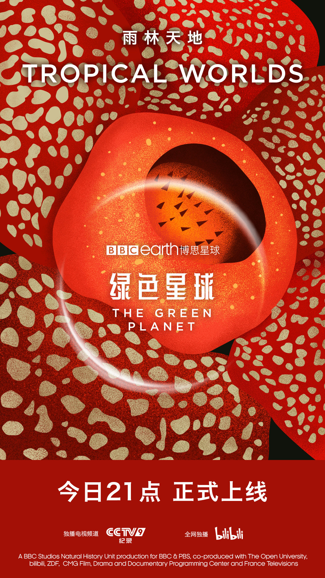 绿色星球的海报-正式海报