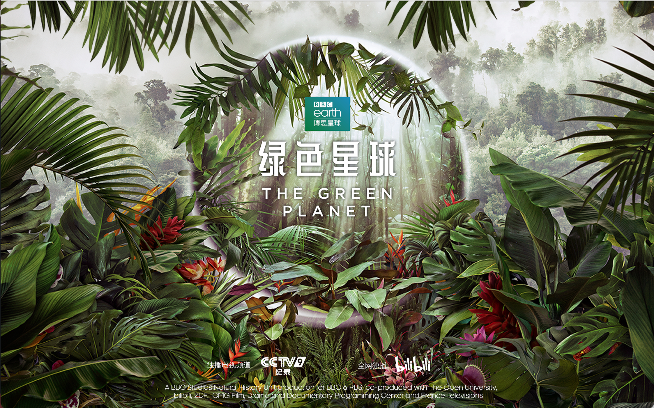 绿色星球的海报-预告海报 中国大陆