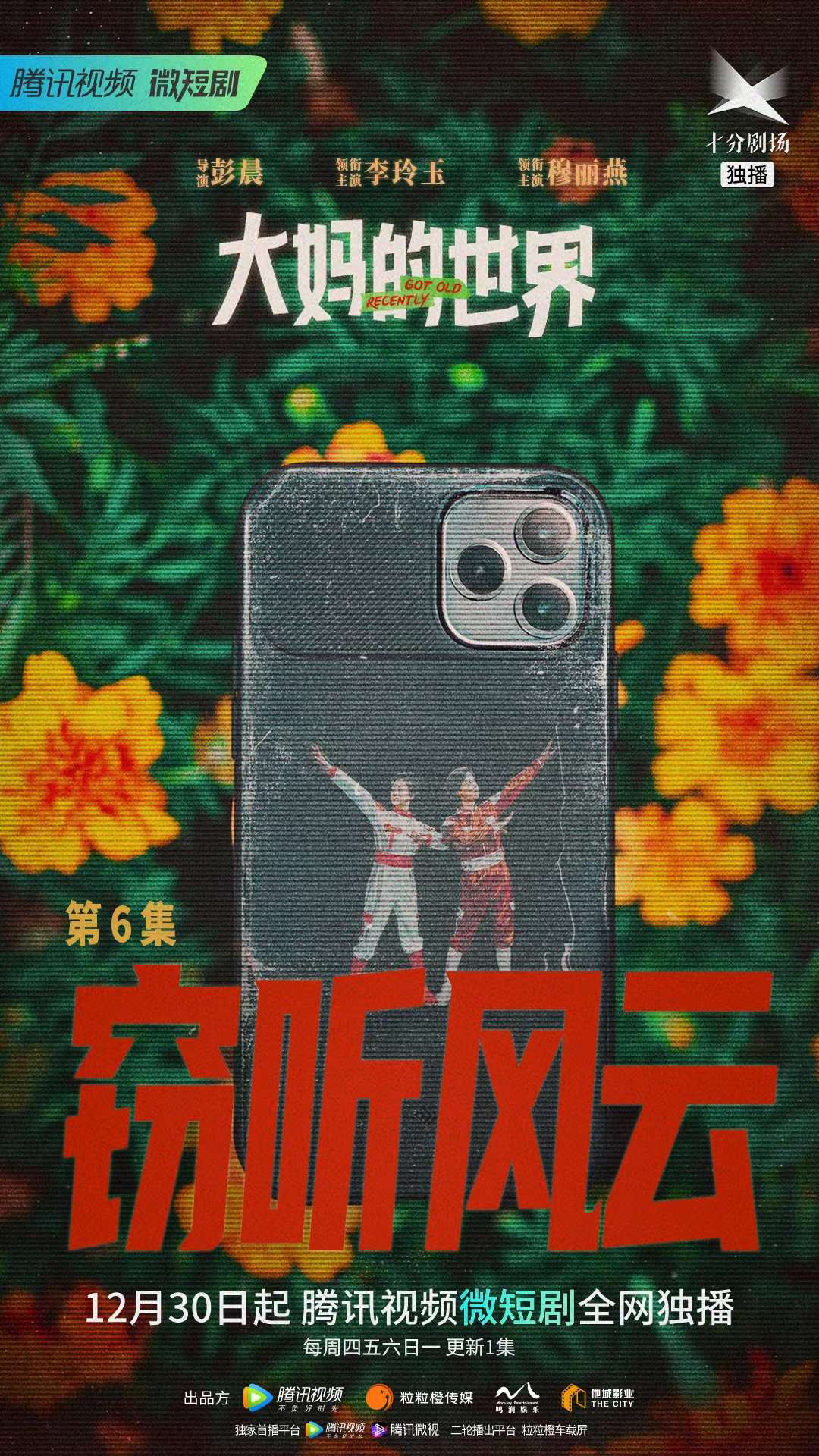 大妈的世界的海报-预告海报 中国大陆