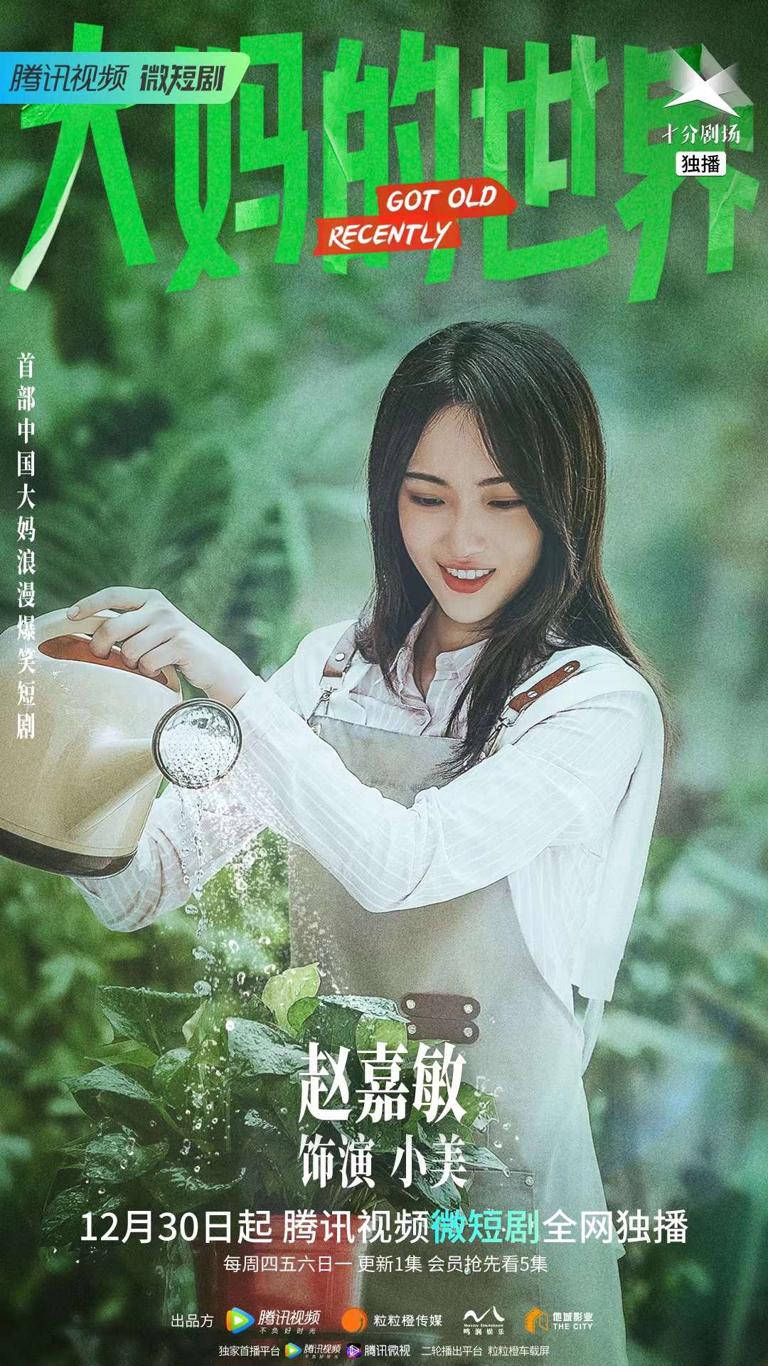 大妈的世界的海报-角色海报 中国大陆