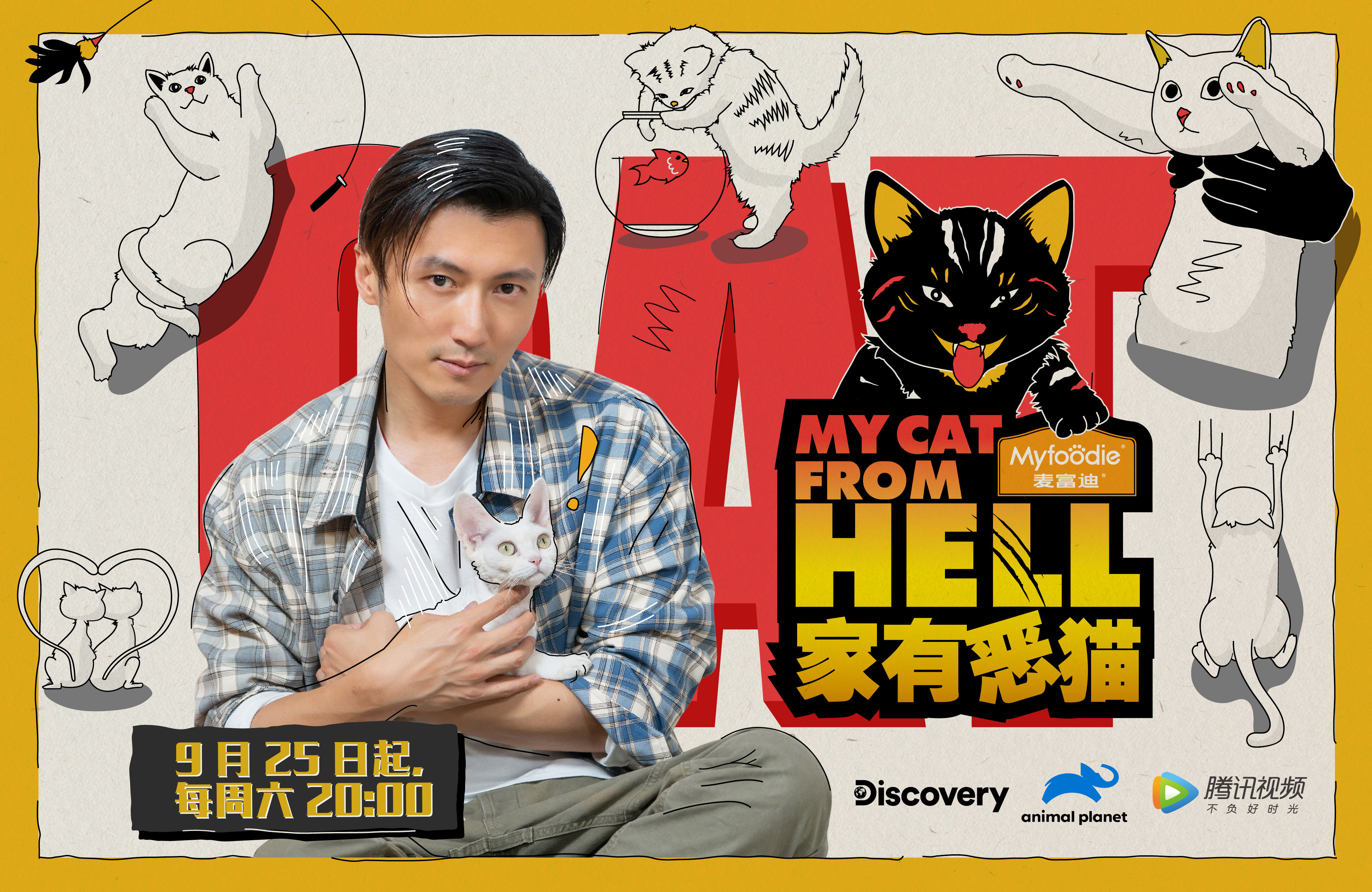 家有恶猫的海报-正式海报
